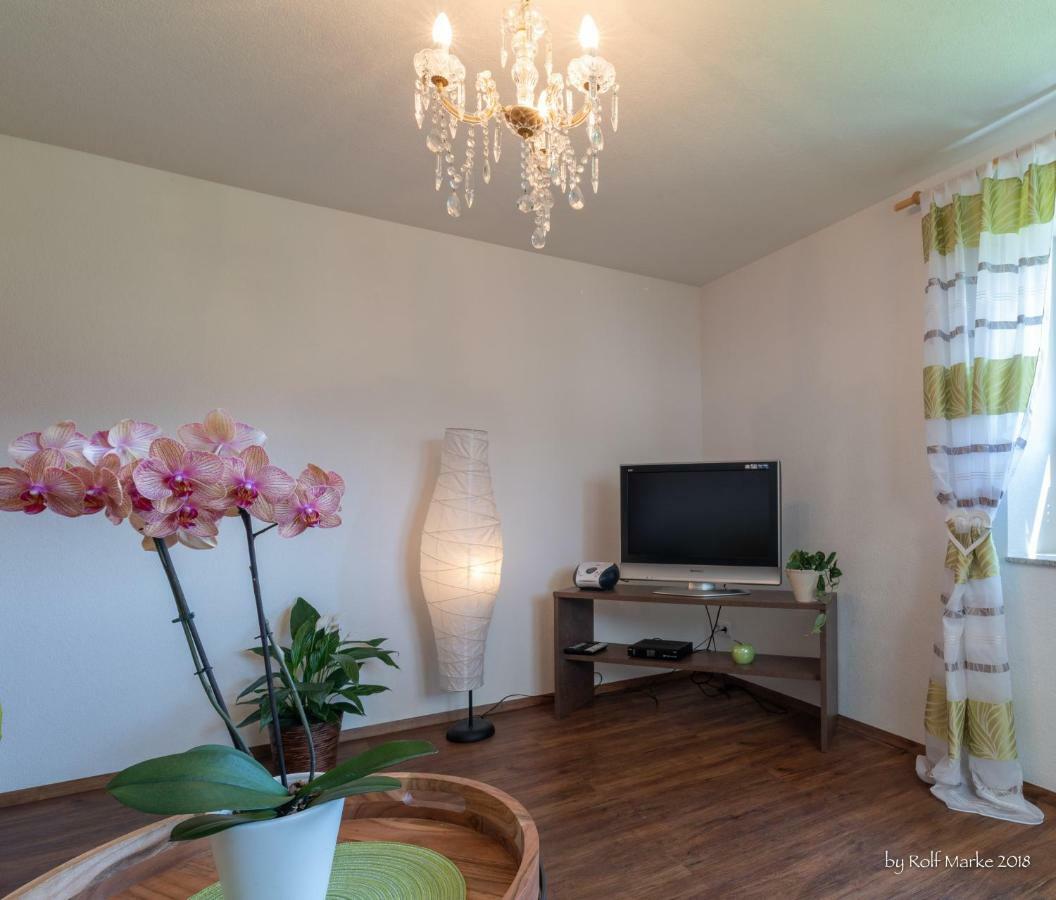 Apartment Gehrenspitze 罗伊特 外观 照片